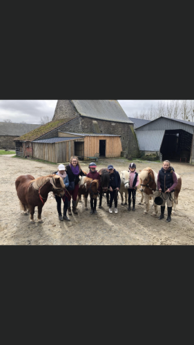 cours équitation chevaux